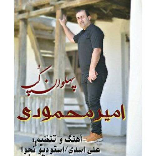 امیر محمودی پهلوان کُپ